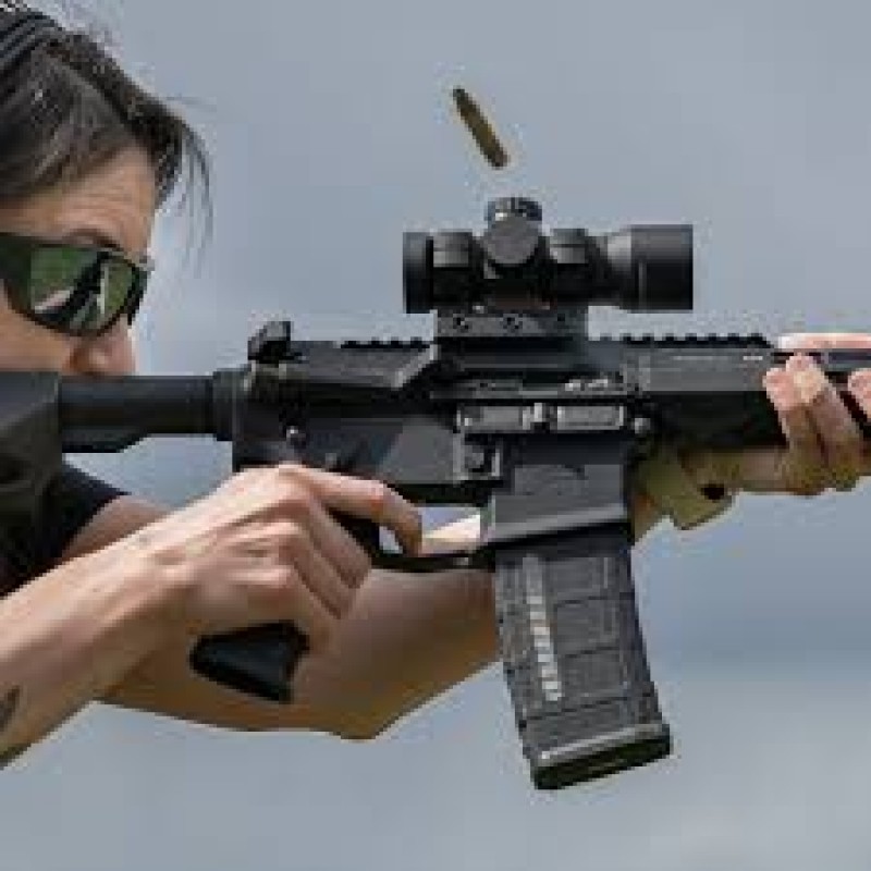 Proto Rds 1 Leupold Freedom RDS 1 MOA