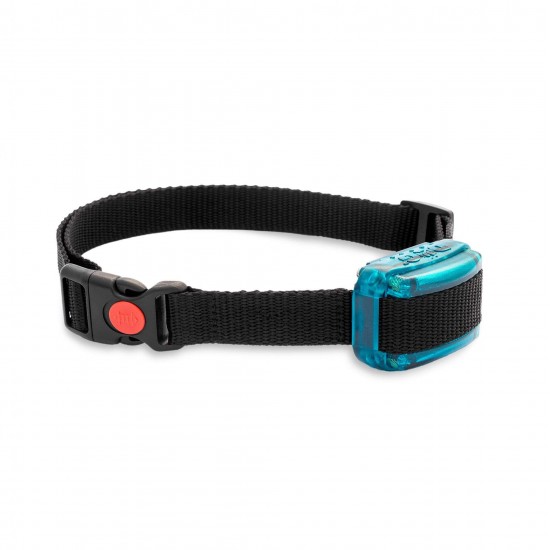 Zgarda pentru un alt caine d-control mini