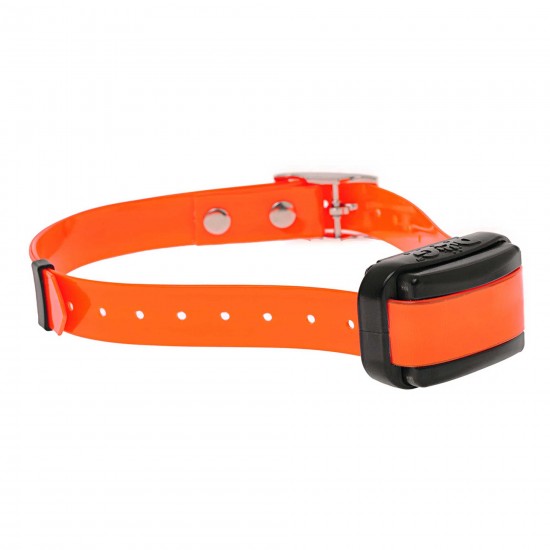 Zgarda pentru un alt caine d-control professional mini