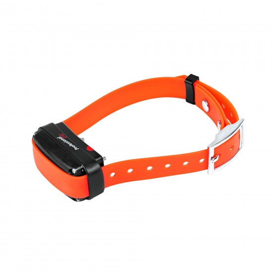 Zgarda pentru un alt caine d-control professional ONE