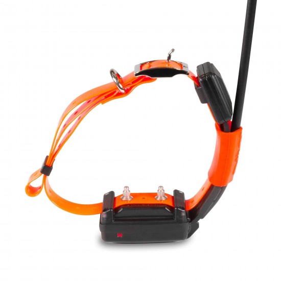 Zgarda GPS pentru alt caine - DOG GPS X25T Short