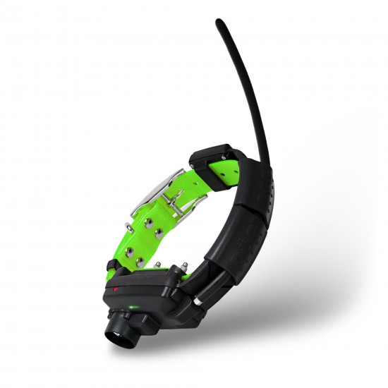 Zgarda GPS pentru alt caine - DOG GPS X25TB - Verde