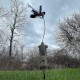 Atrapa rapitoare ICOtec PD200