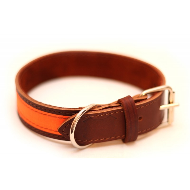 Zgarda de piele pentru caini de vanatoare cu banda fluo orange