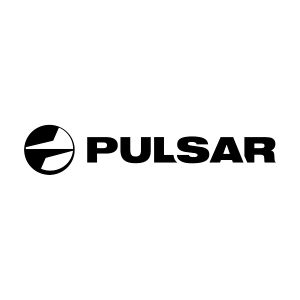 Pulsar